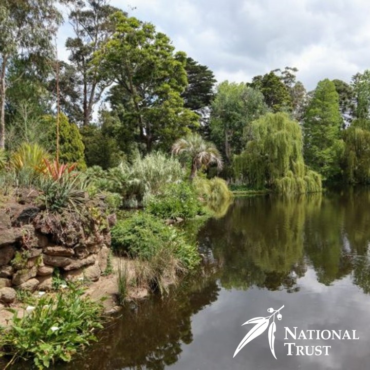 Native Australian plants and trees around a pond