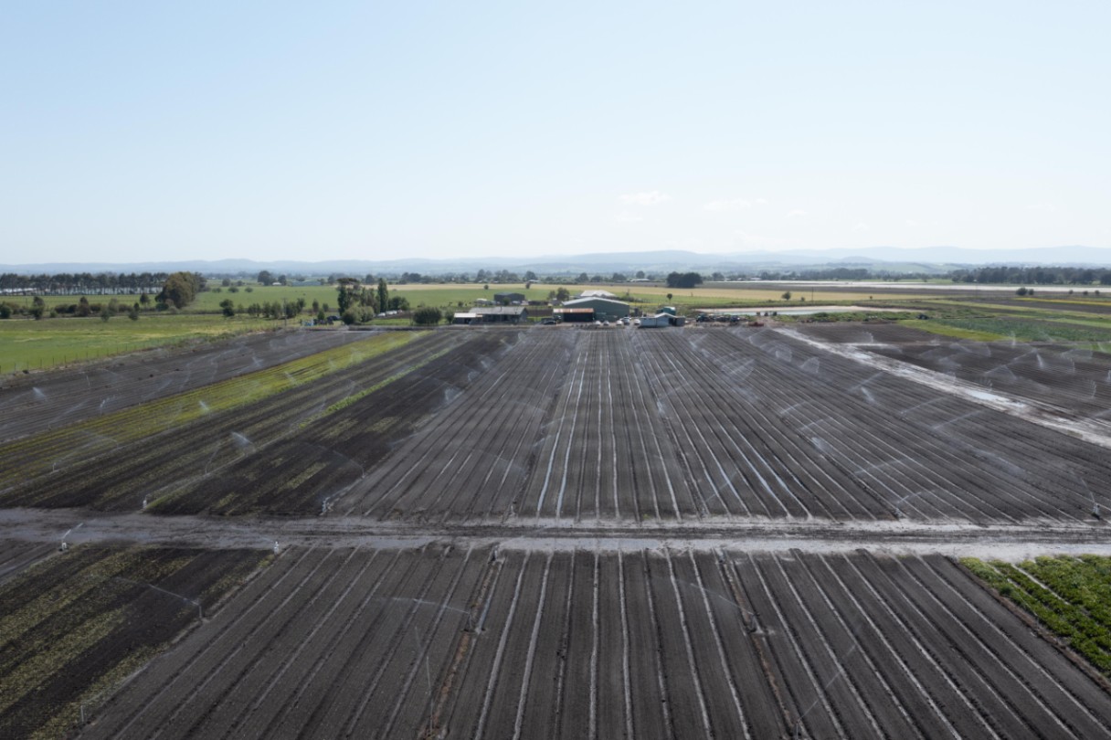 Western Port Recycled Water Scheme Funding Announcement at Cora Lynn Farm