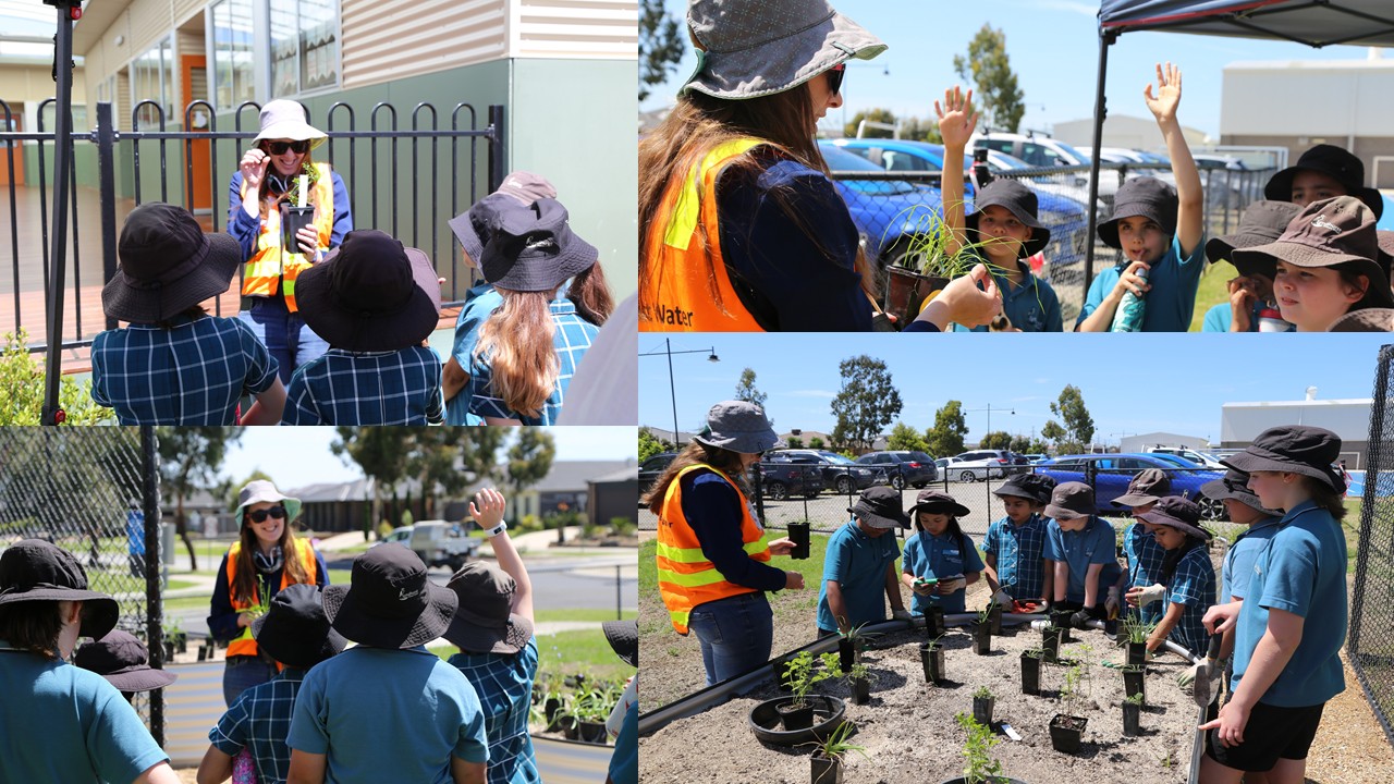 Students at Lyndhurst Primary School are participating in an urban cooling research and development project led by South East Water.