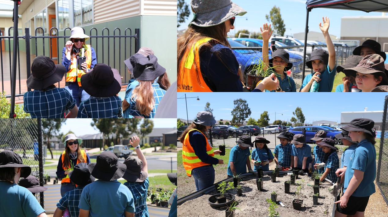 Four images showing planting being undertaken with Lyndhurst Primary School students.