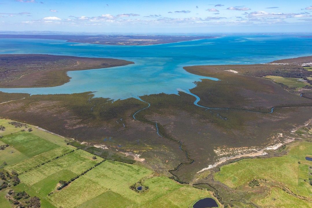 birds-eye view of wetlands