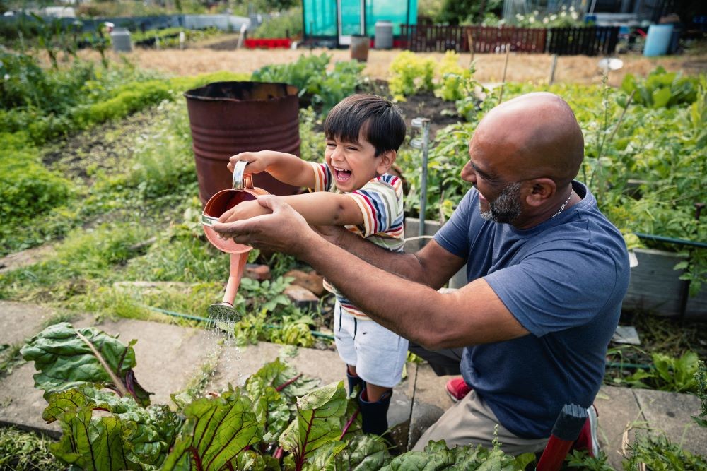 Man and child watering a garden with watering can. 